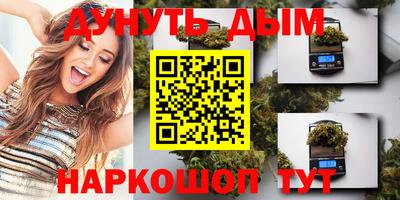 тгк Новокубанск